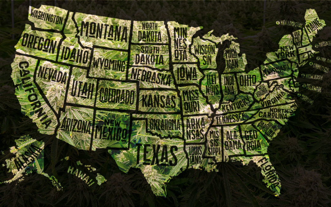 How to know if a cannabis kiosk is compliant in your state